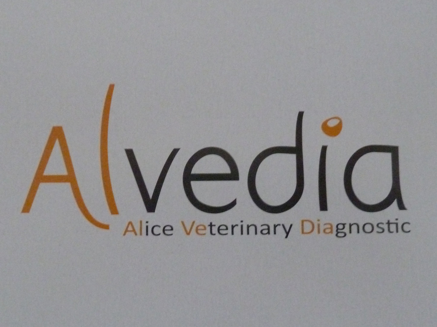 Alvedia Easy Quick Test Canine Blood Type DEA 1