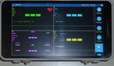 Multiparameter monitor (EMS 601)