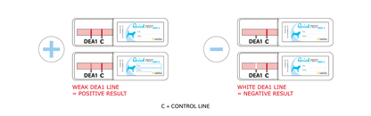 Alvedia Easy Quick Test Canine Blood Type DEA 1
