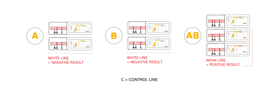 Alvedia Easy Quick Test Feline Blood Type A + B