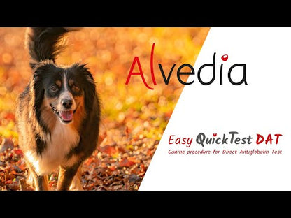 Alvedia Easy Quick DAT Test