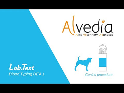 Alvedia Lab Test Canine Blood Typing (20 test)