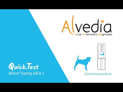 Alvedia Easy Quick Test Canine Blood Type DEA 1